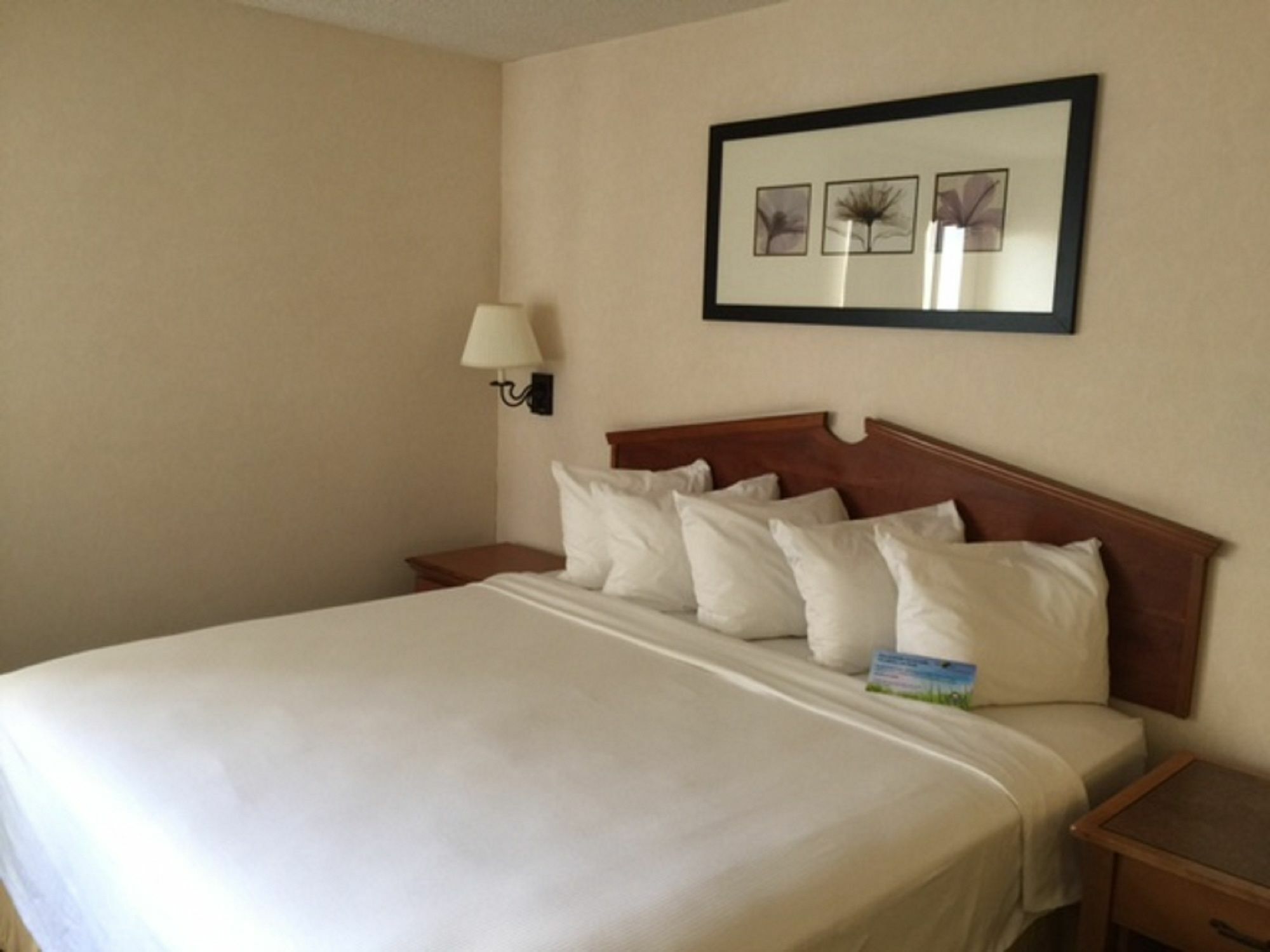 Days Inn & Suites By Wyndham Denver International Airport Екстериор снимка